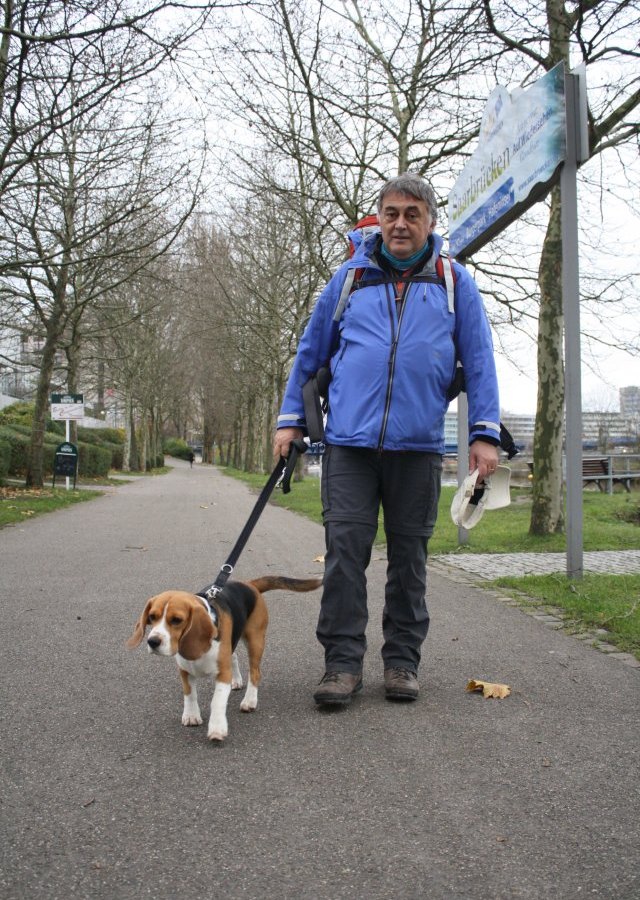 hund mann straße wolfenbüttel