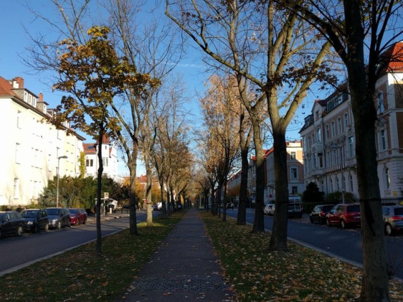 jasperallee