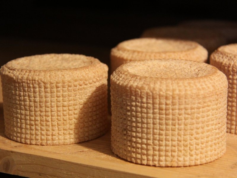 käse.jpg