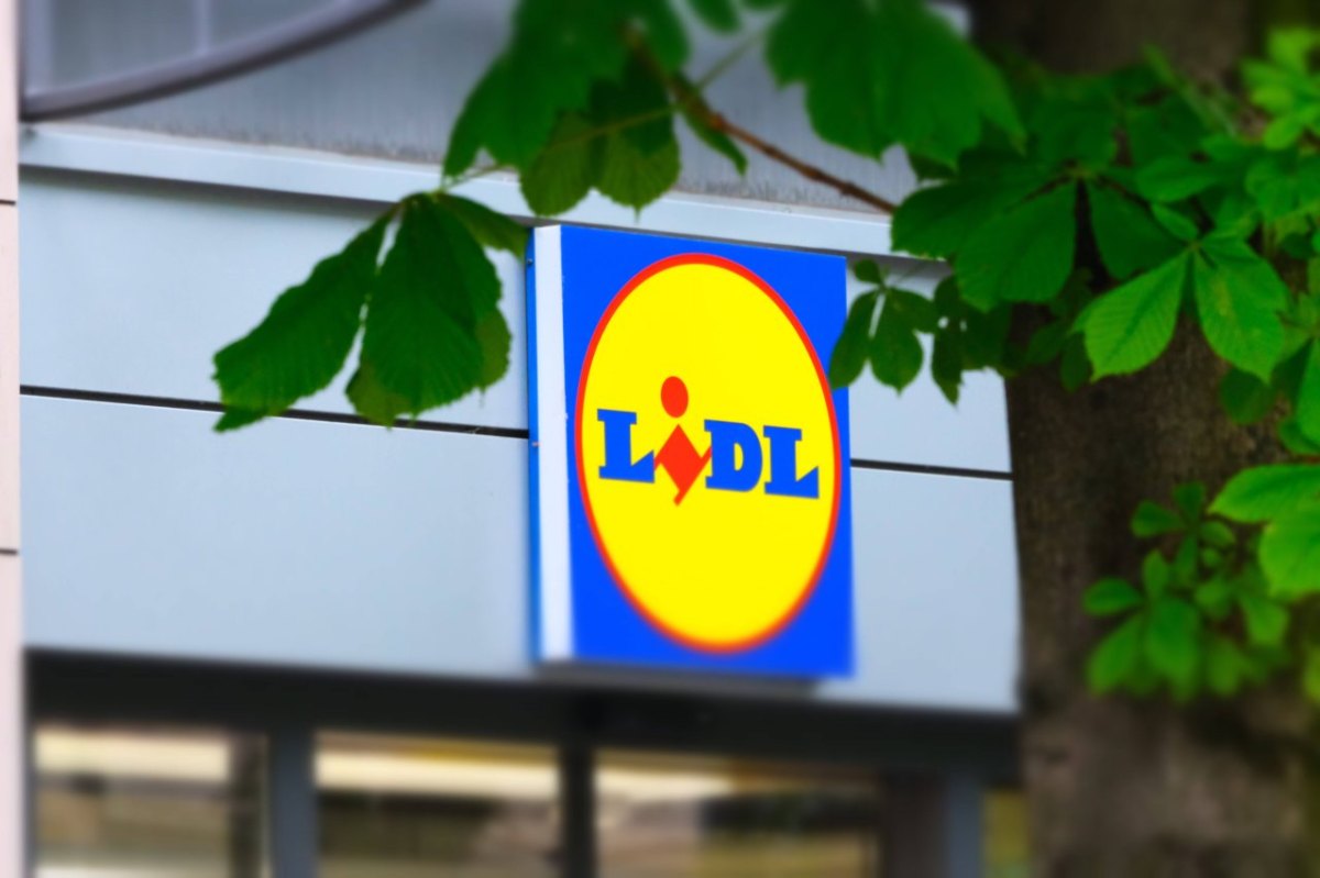 lidl kreis gifhorn.jpg