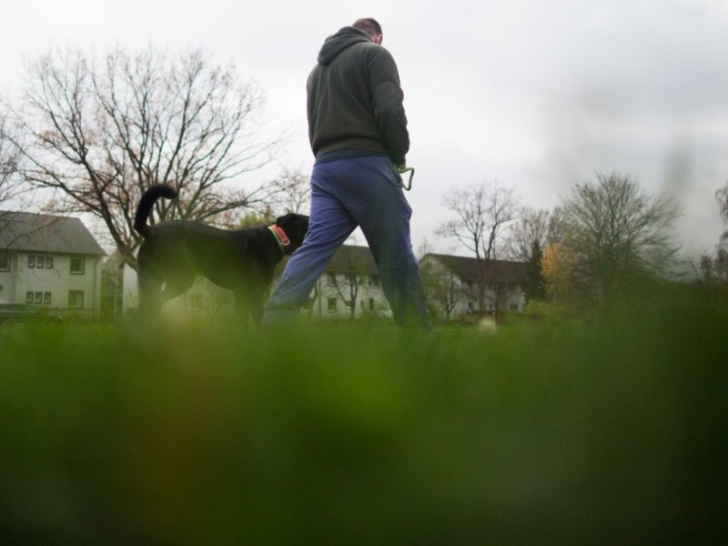 mann hund gassi leine hundeleine
