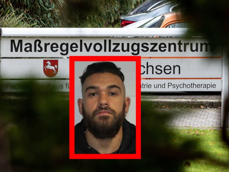 moringen rocky steinbach braunschweig