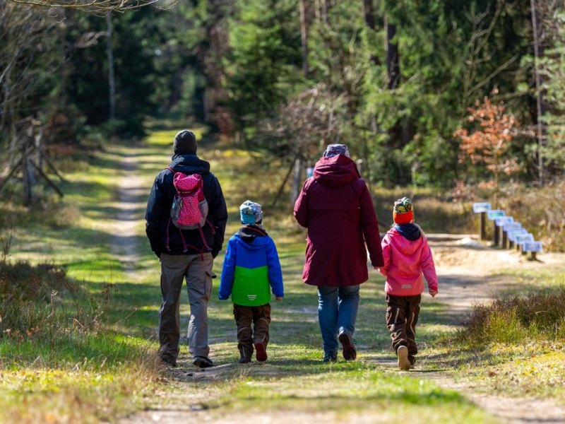 niedersachsen wandern wald.jpg