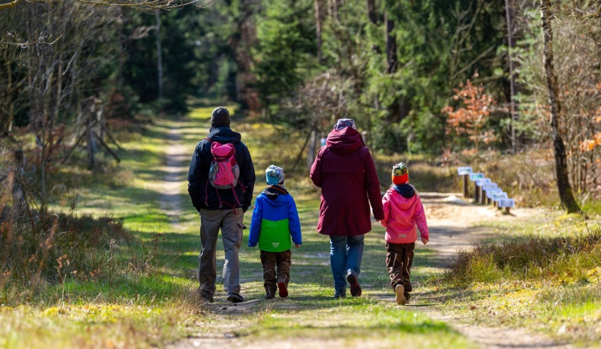 niedersachsen wandern wald.jpg