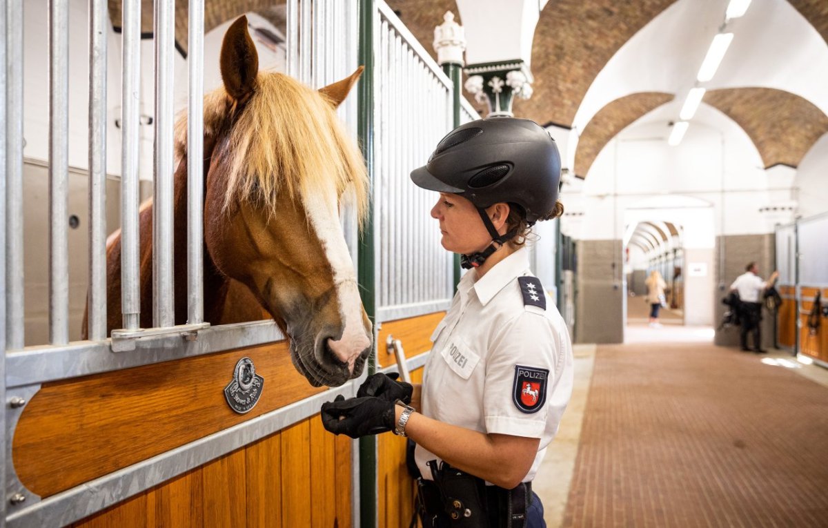 polizei.jpg