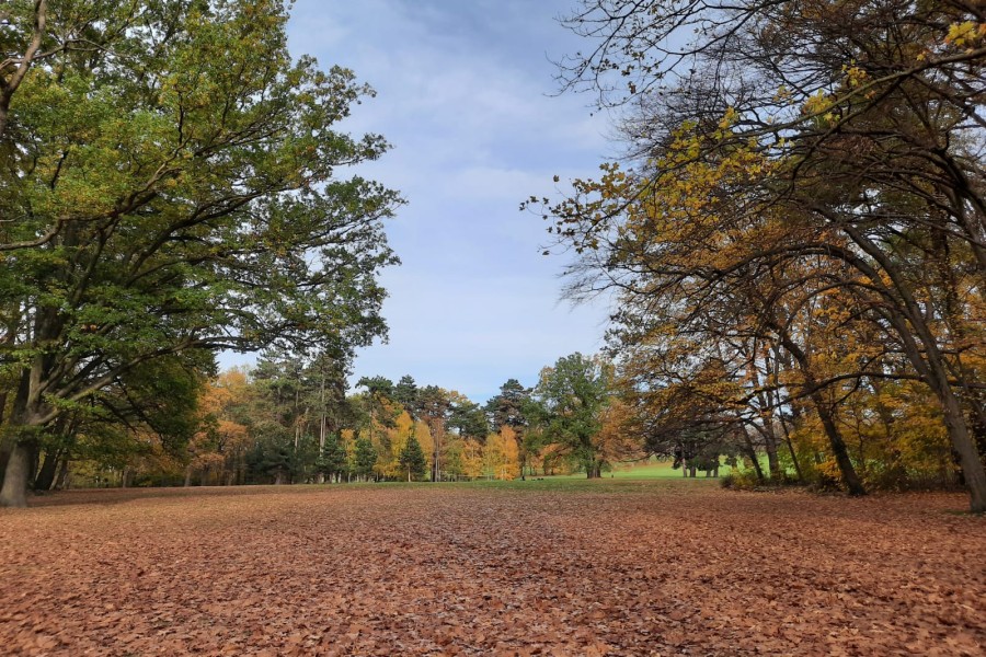 Der Prinzenpark in Braunschweig.