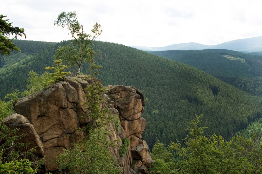 An den Rabenklippen im Harz herrscht Felssturzgefahr! 