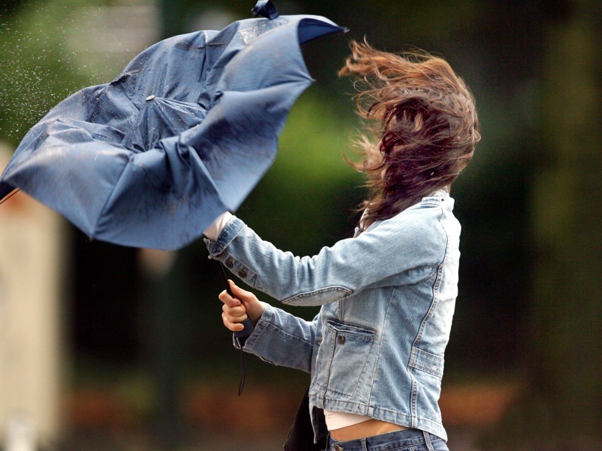 regenschirm regen wind sturm frau