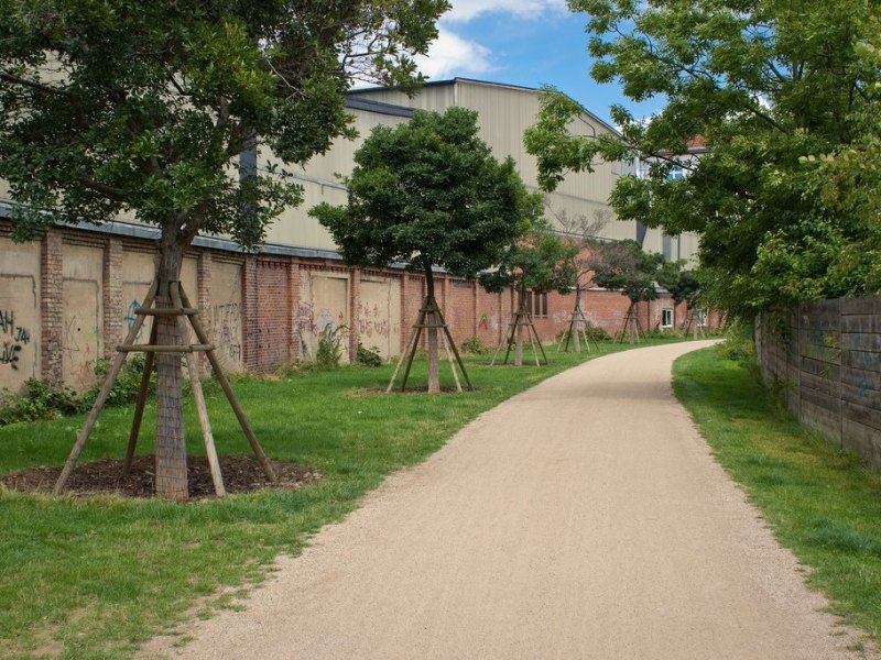 ringgleis