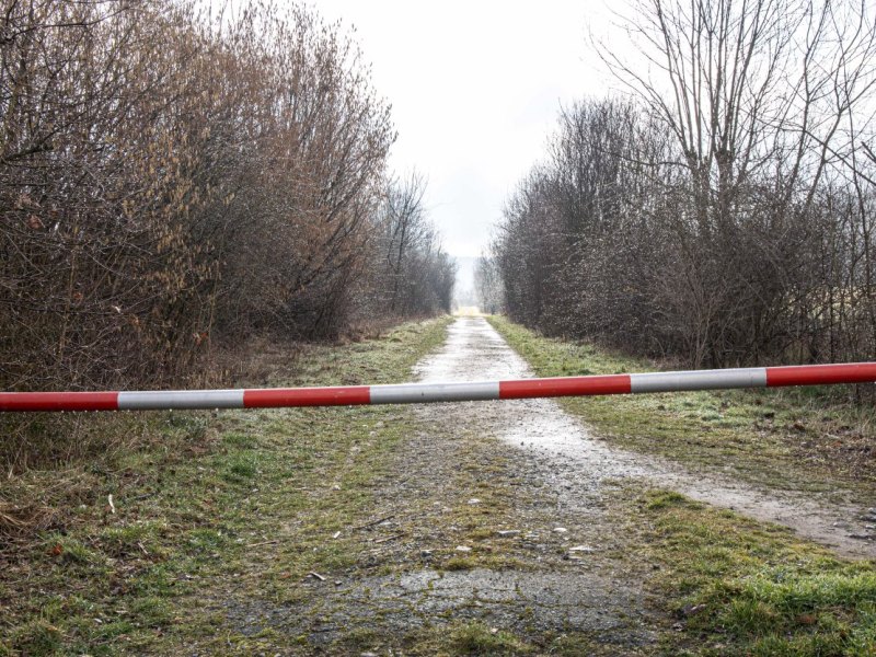 salzgitter fötus polizei