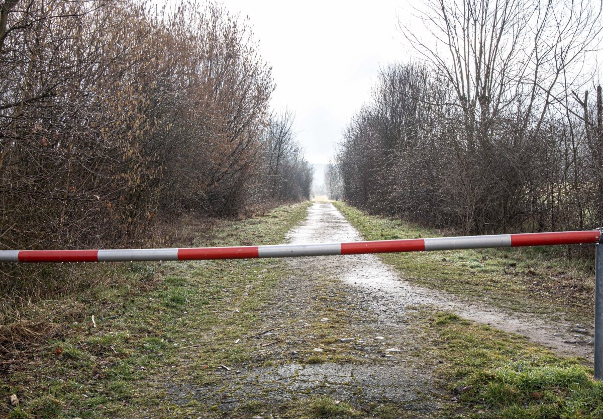 salzgitter fötus polizei