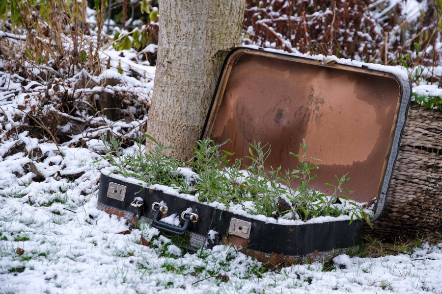 Im Oberharz liegt derzeit eine dünne Schneeschicht. Kommende Woche könnte sie dicker werden.