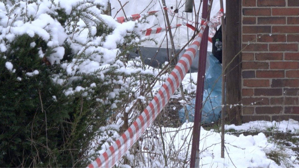 seesen harz leiche kleingarten