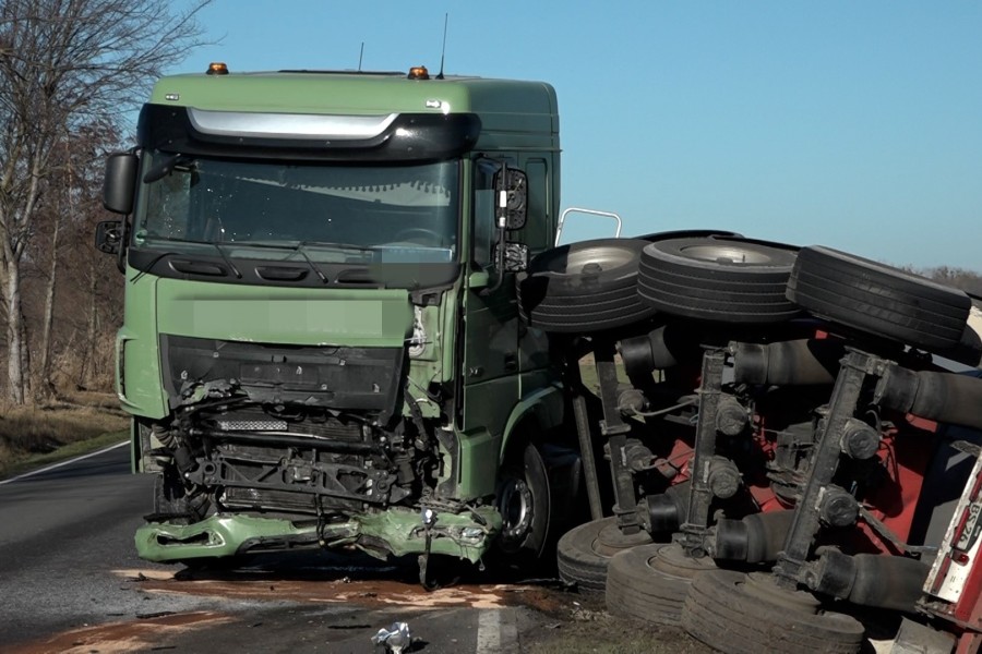 Der Lkw-Fahrer kam von der Fahrbahn ab.