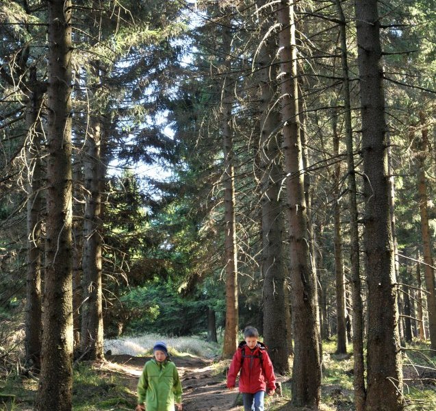 wanderer harz wurmberg