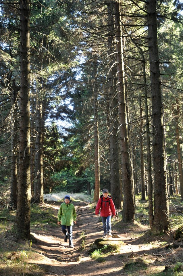 wanderer harz wurmberg