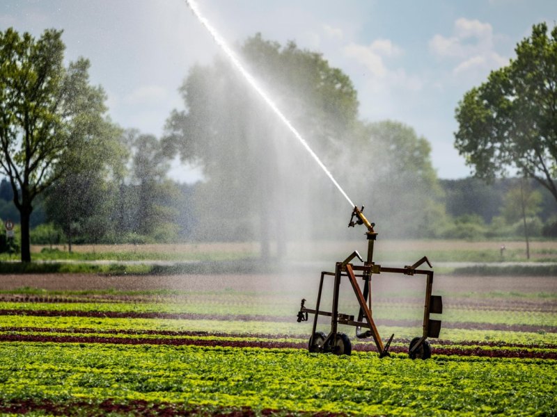 wasser knapp niedersachsen feld beregnet