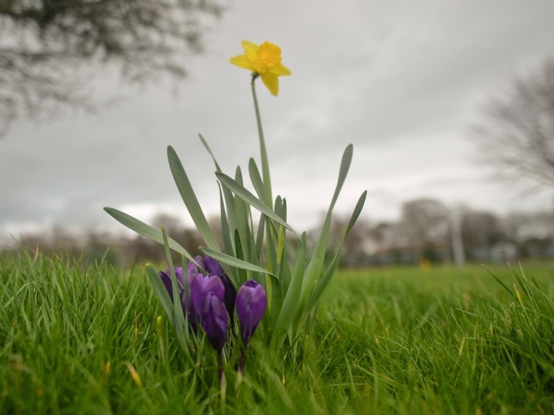 Wetter in Niedersachsen: Der Frühling ist auf dem Vormarsch. Da stört uns auch die ein oder andere Wolke nicht. (Symbolbild)