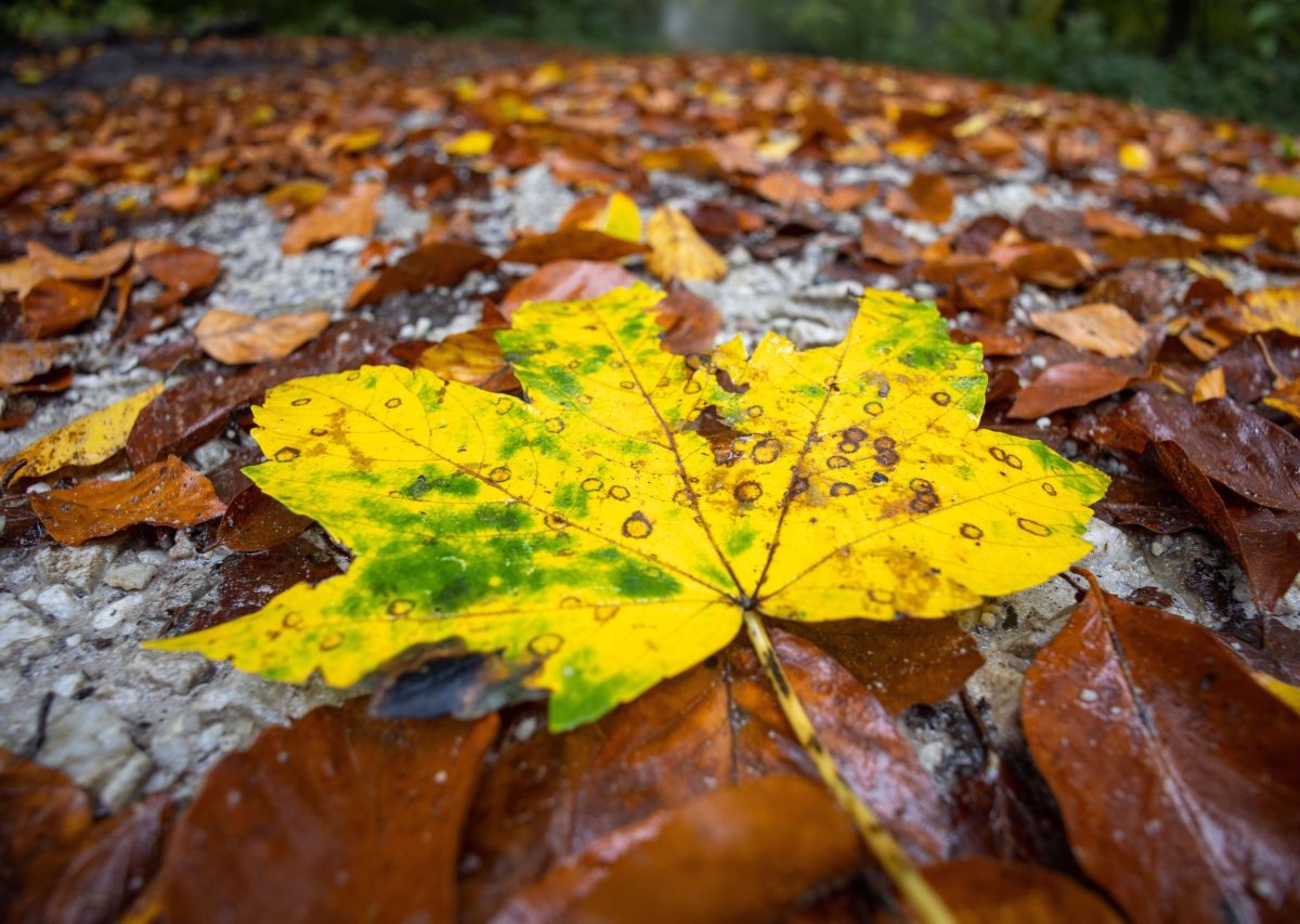 wetter niedersachsen.jpg