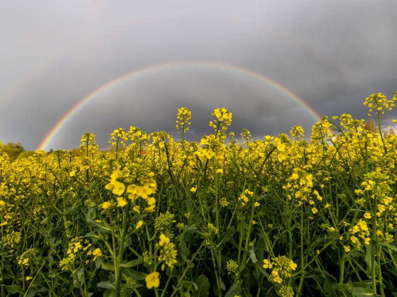 wetter niedersachsen.jpg