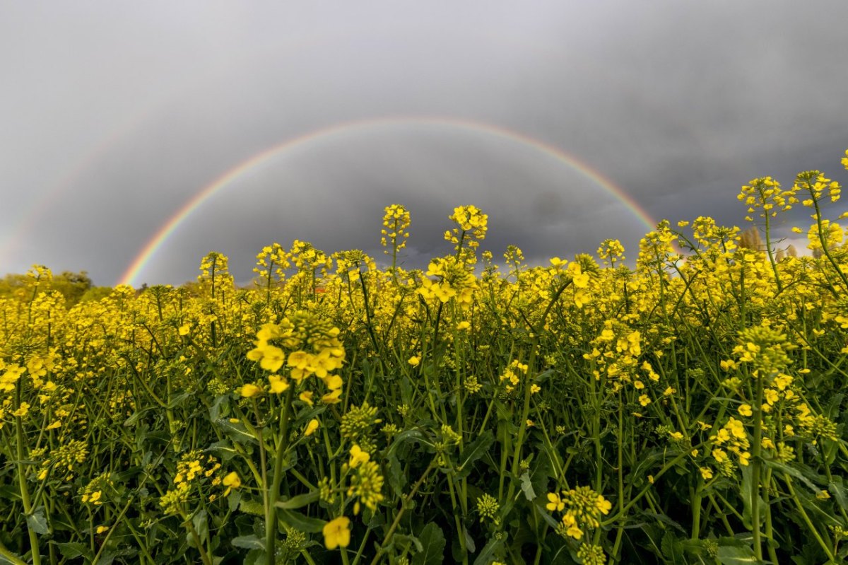 wetter niedersachsen.jpg