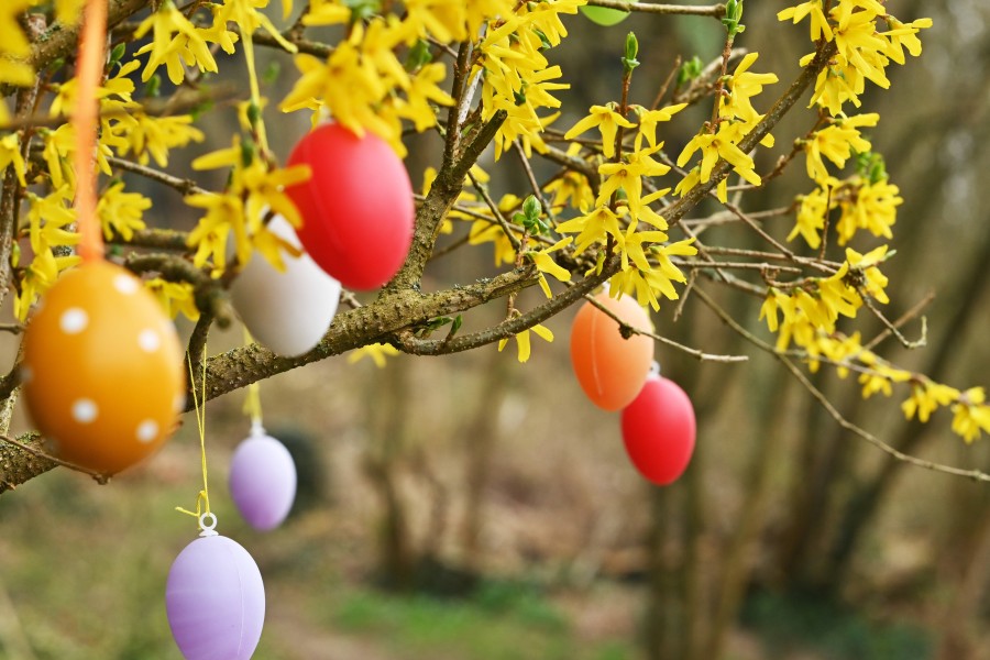 Beschert uns das Wetter in Niedersachsen ein Frühlings-Comeback zu Ostern? 