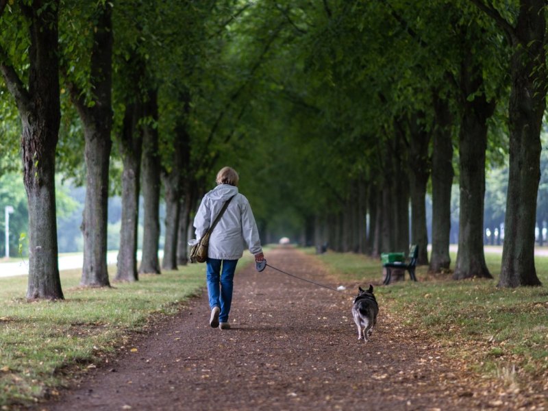 Hannover Leine Frau