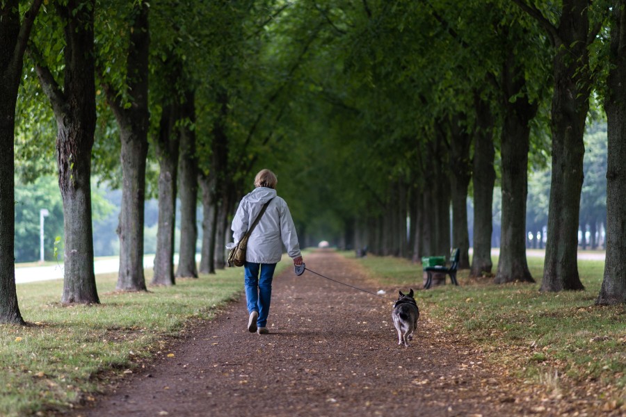 Beide Opfer waren an der Leine in Hannover mit ihren Hunden spazieren, als sie vom Mann verfolgt worden. (Symbolbild)