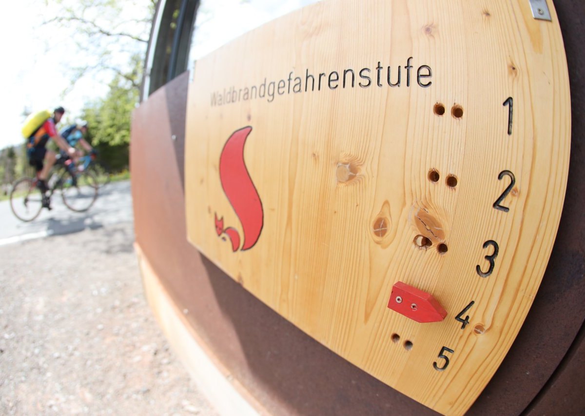 Harz-Brand.jpg