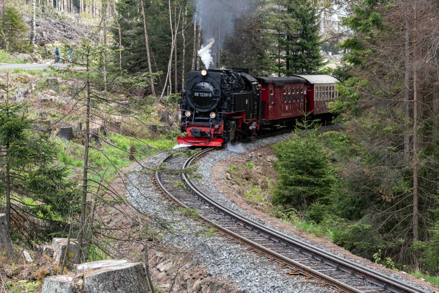 Auch die Fahrten mit der Harzer Schmalspurbahnen sind im 9-Euro-Ticket inbegriffen! (Archivbild)