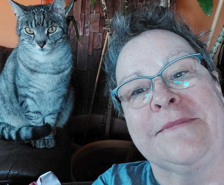 Katze_braunschweig_Erika.jpg
