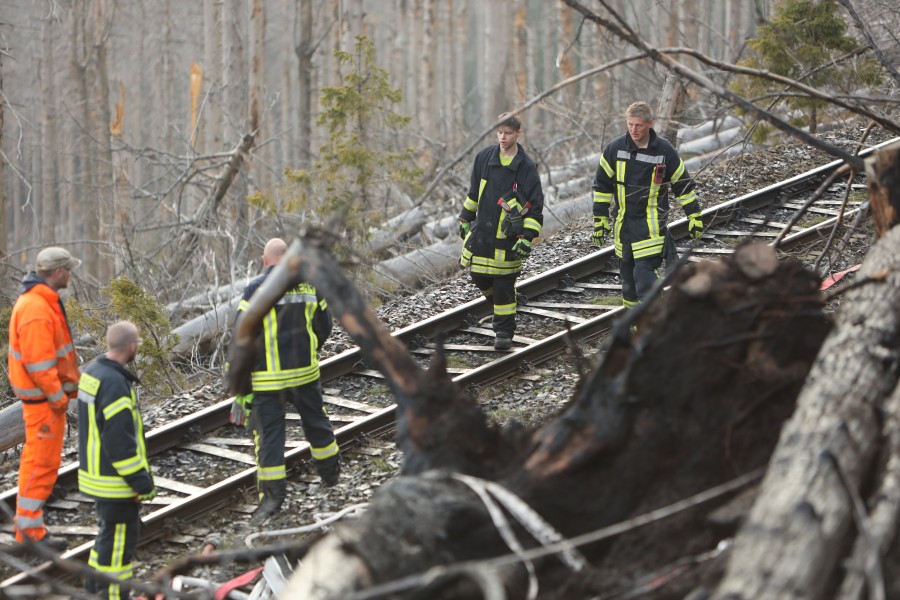Die Feuerwehr am Dienstag im Einsatz im Harz. Es brannte im Nationalpark. 
