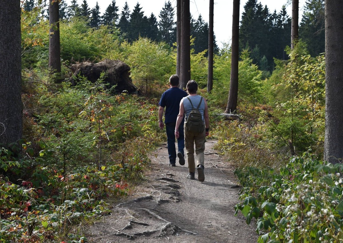 harz-wandern.jpg