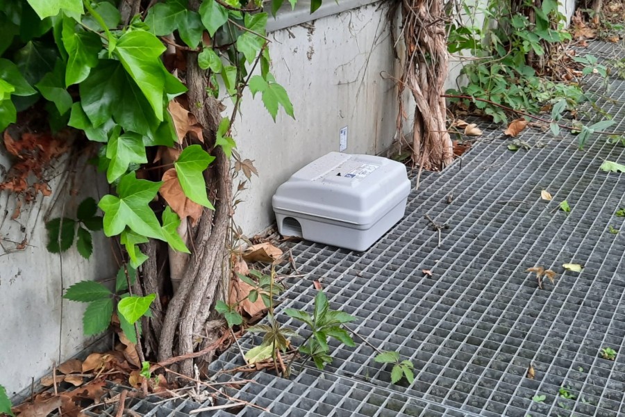 Mit diesen Boxen will das Schloss Braunschweig eine Ratten-Plage verhindern. 