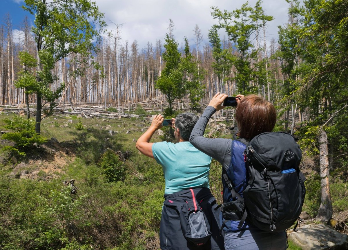 Brocken im Harz.jpg