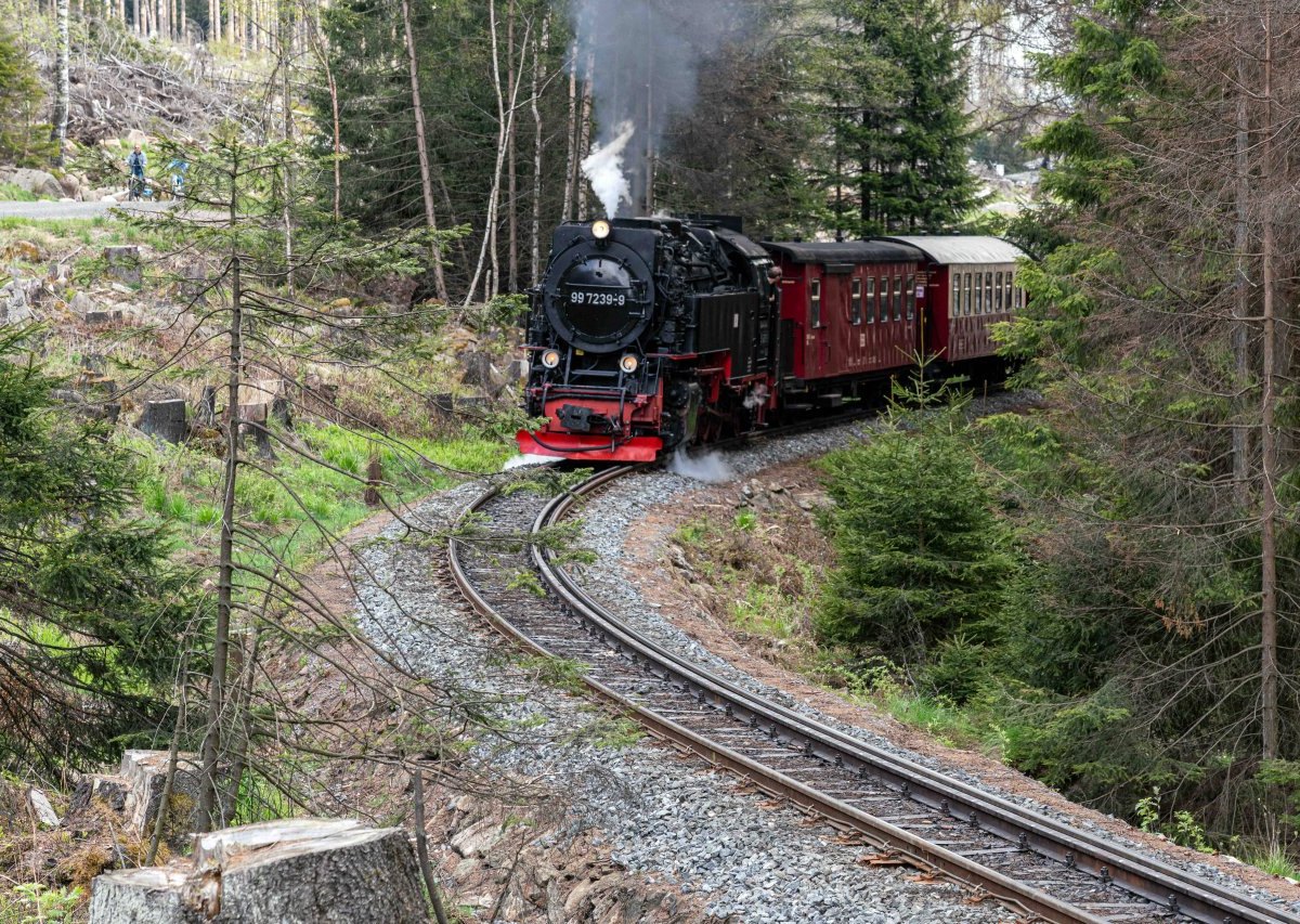 Harz.jpg