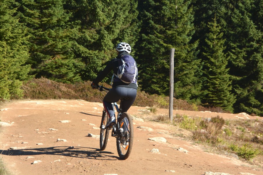 Im Harz gibt es eine neue Attraktion – und für die brauchst du ordentlich Biss! (Symbolbild)