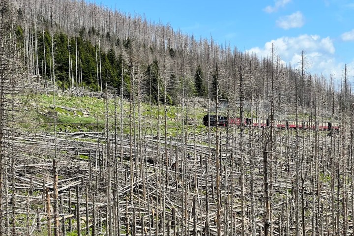 Dieser Anblick bot sich einer Wanderin, den Brocken im Harz besteigen wollte. 