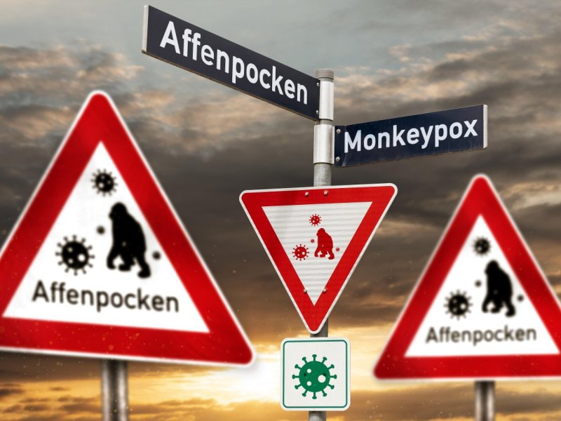 Niedersachsen Affenpocken.jpg