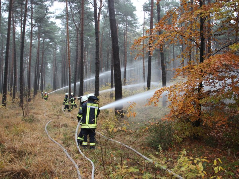 Niedersachsen Waldbrand