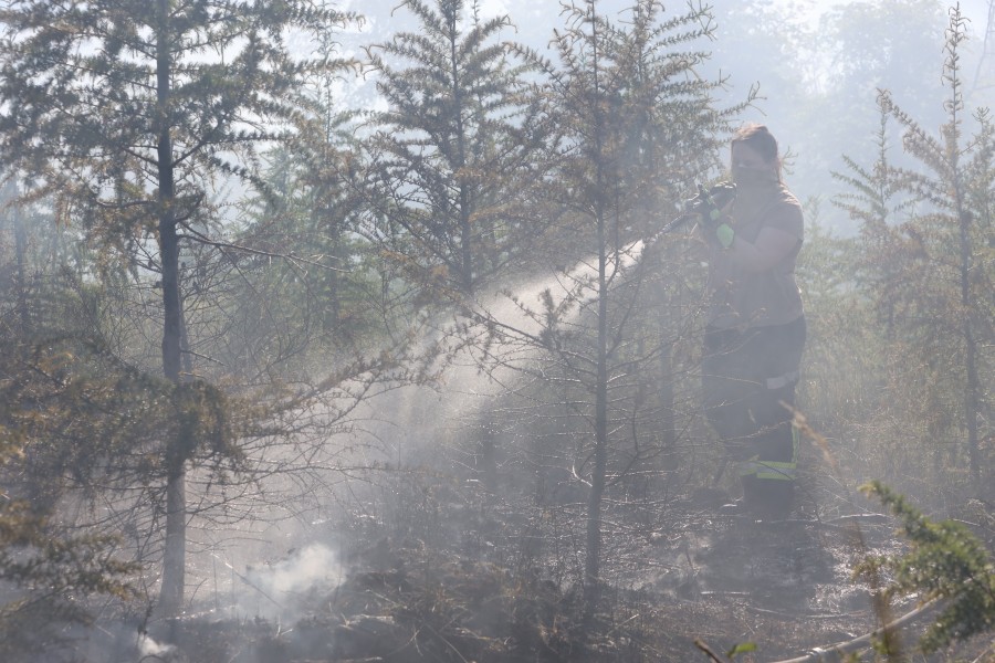 In Niedersachsen wurde aufgrund der hohen Waldbrandgefahr für viele Teile die höchste Kategorie ausgerufen. (Symbolbild)