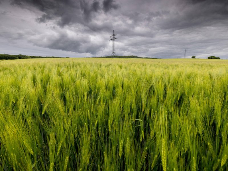 Wetter-Niedersachsen.jpg