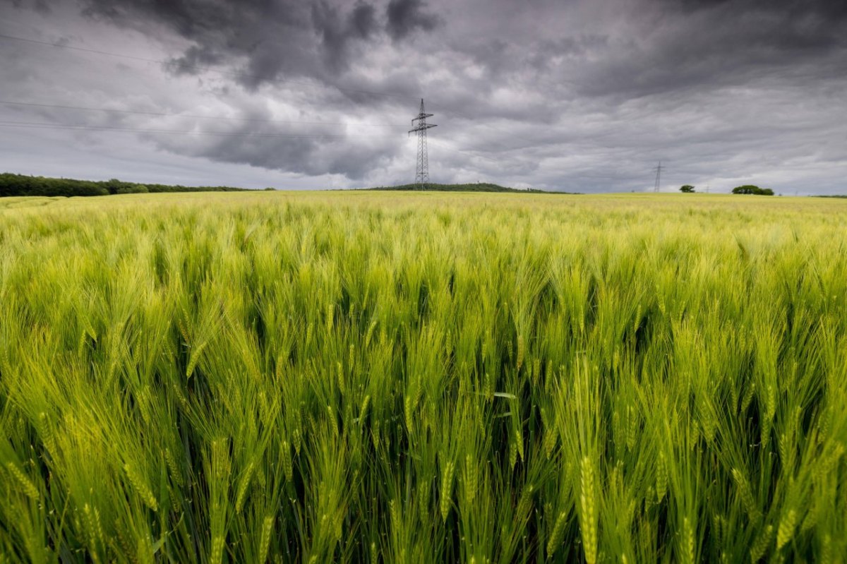 Wetter-Niedersachsen.jpg