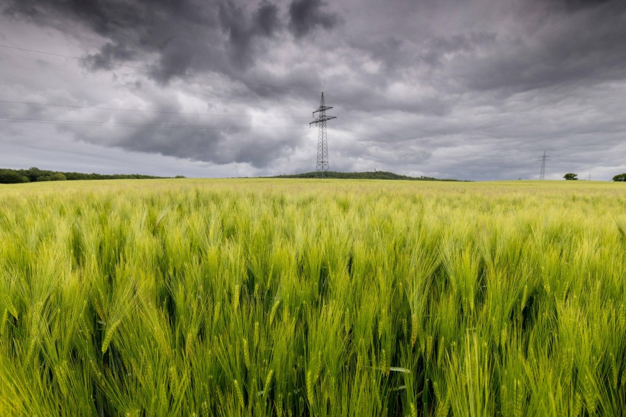 In Niedersachsen ziehen dunkle Wolken auf. Was das Wetter die nächsten Tage bereithält, erfährst du hier. 