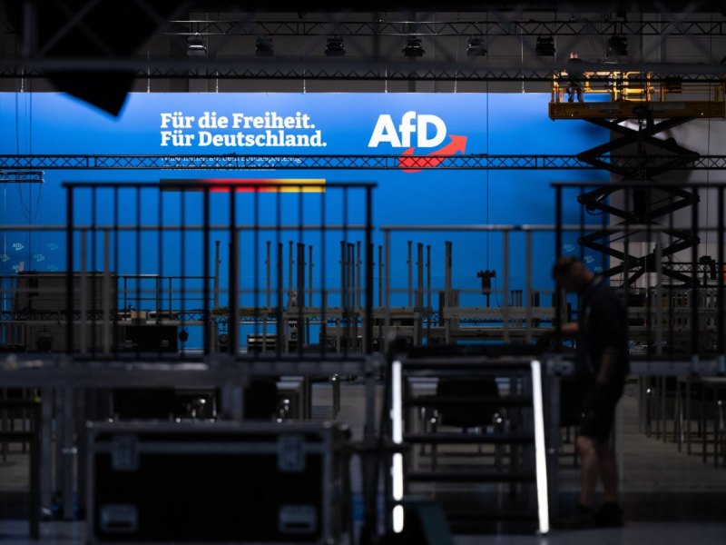 afd niedersachsen.jpg