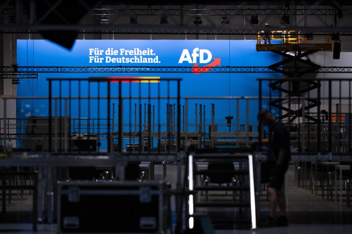 afd niedersachsen.jpg