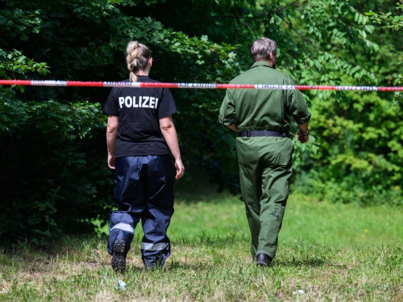 salzgitter mädchen mord fredenberg