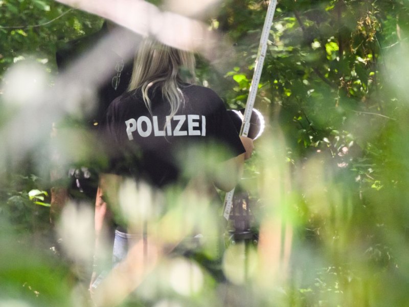 salzgitter mädchen mord