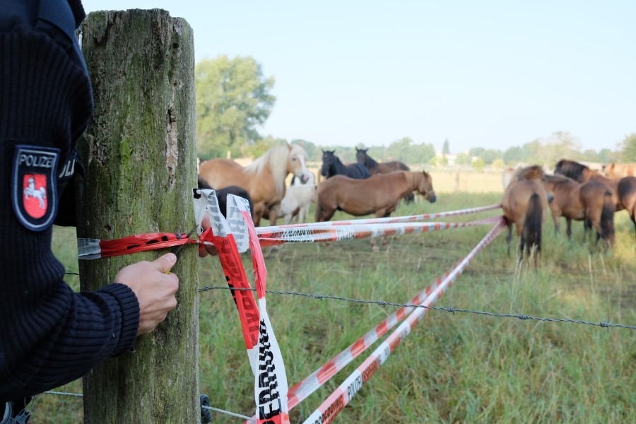 Die Polizei Wolfsburg hat in der Nähe einer Koppel in Reislingen einen Mann gestoppt, der vorher zwei Menschen verletzt haben soll. (Symbolbild)