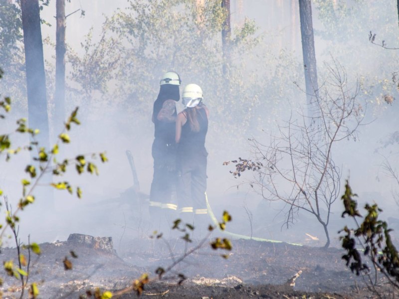 Gifhorn-flächenbrand.jpg